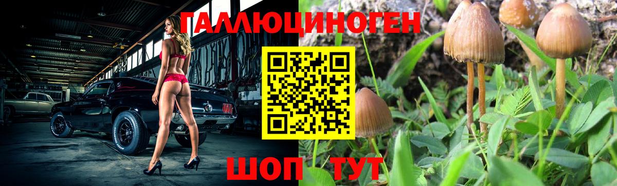 продажа наркотиков  Псилоцибиновые грибы GOLDEN TEACHER  Вход с VPN  Арсеньев 