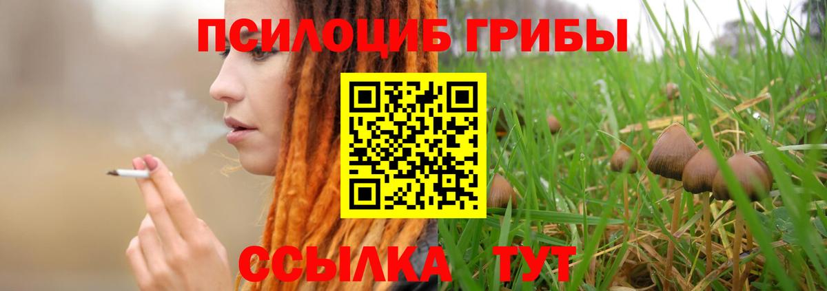 Псилоцибиновые грибы ЛСД Арсеньев